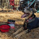 Recovery Chews