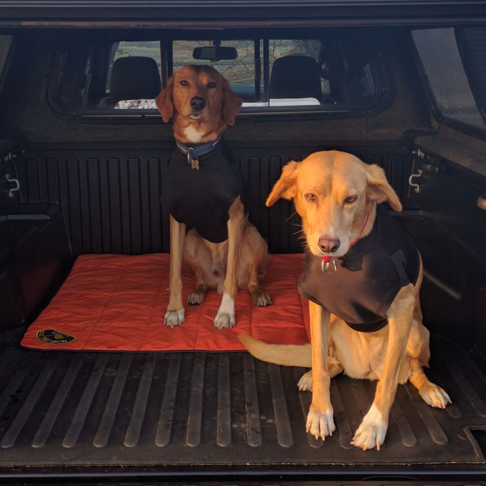 Dog Blanket - Howling Dog Alaska