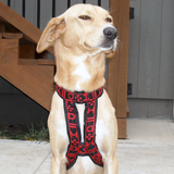 Hound Harness - Howling Dog Alaska