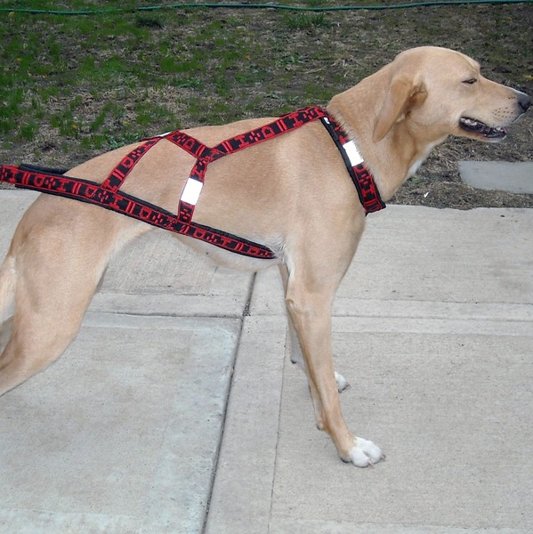 Hound Harness Hound Harness - Howling Dog Alaska