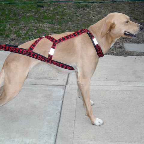 Hound Harness - Howling Dog Alaska