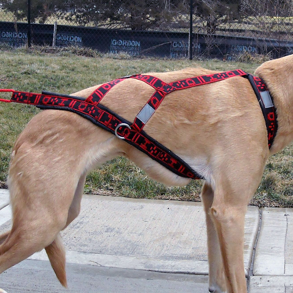 Hybrid Light Weight Harness - Howling Dog Alaska