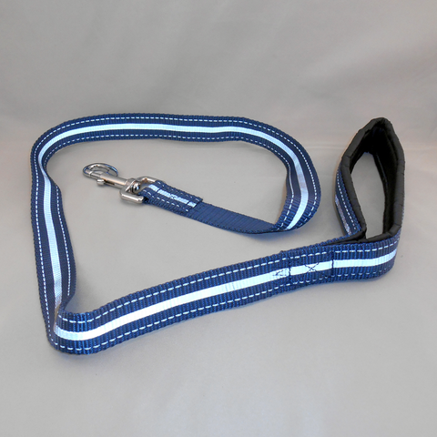 Leash with Bungee