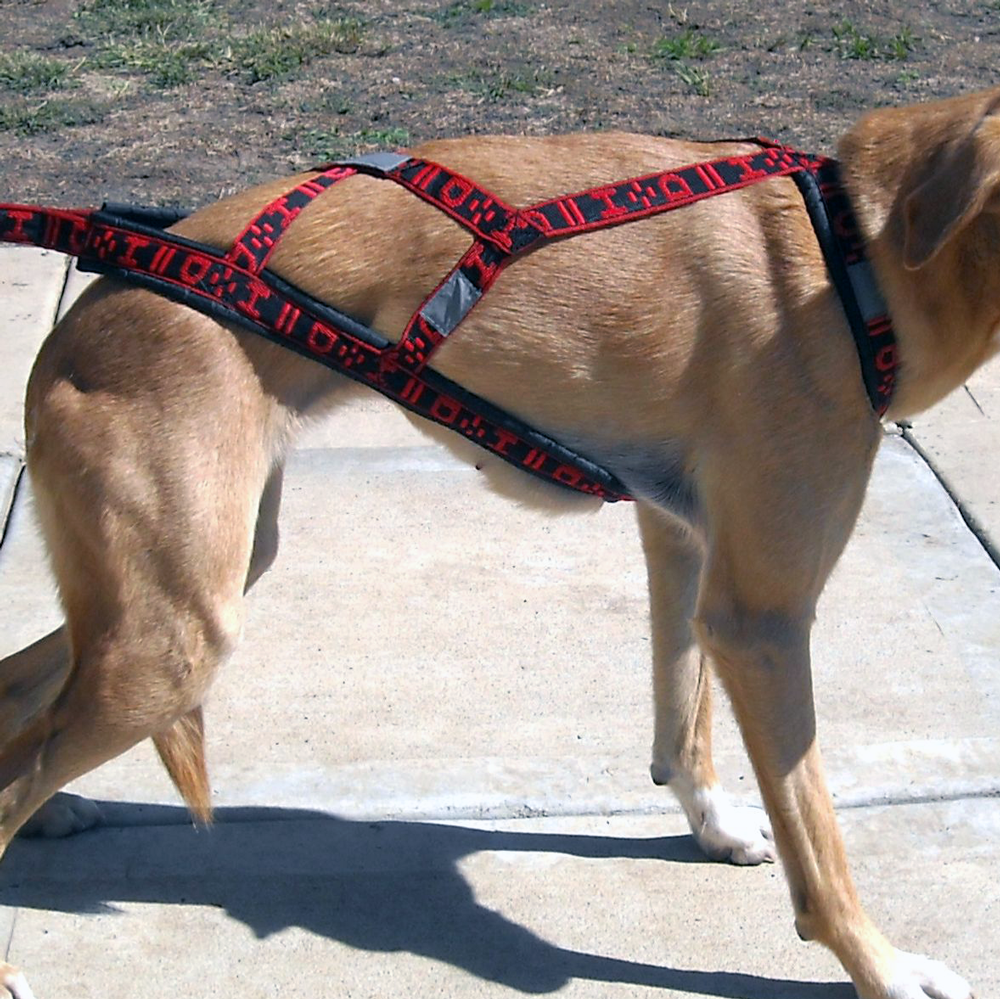 Light Weight Harness - Howling Dog Alaska