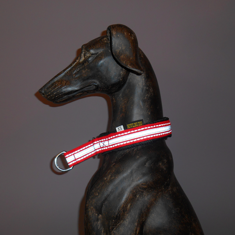 Padded Collar