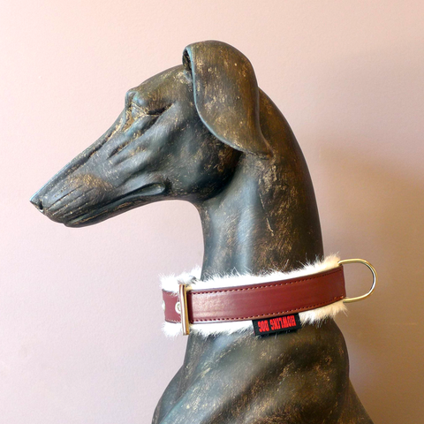 Padded Collar - Light Weight