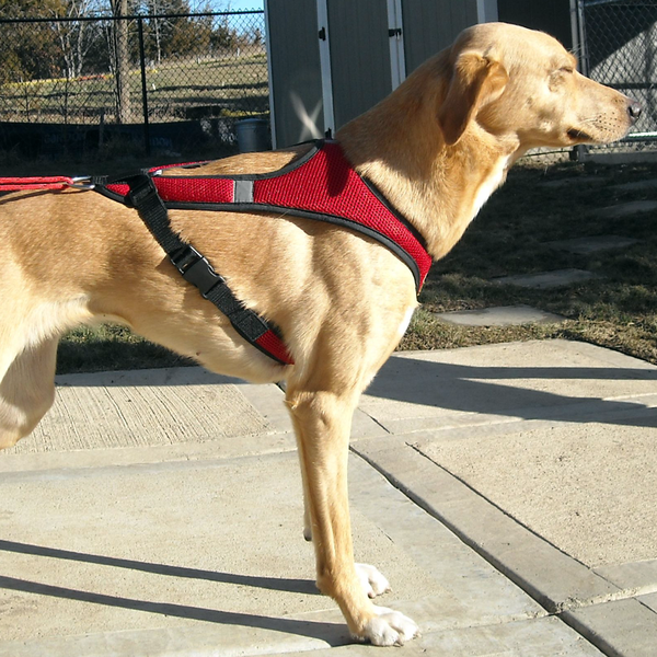 Second Skin™ Harness Second Skin™ Harness - Howling Dog Alaska