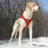 Second Skin™ Harness