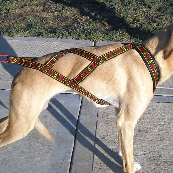 Standard Harness Standard Harness - Howling Dog Alaska