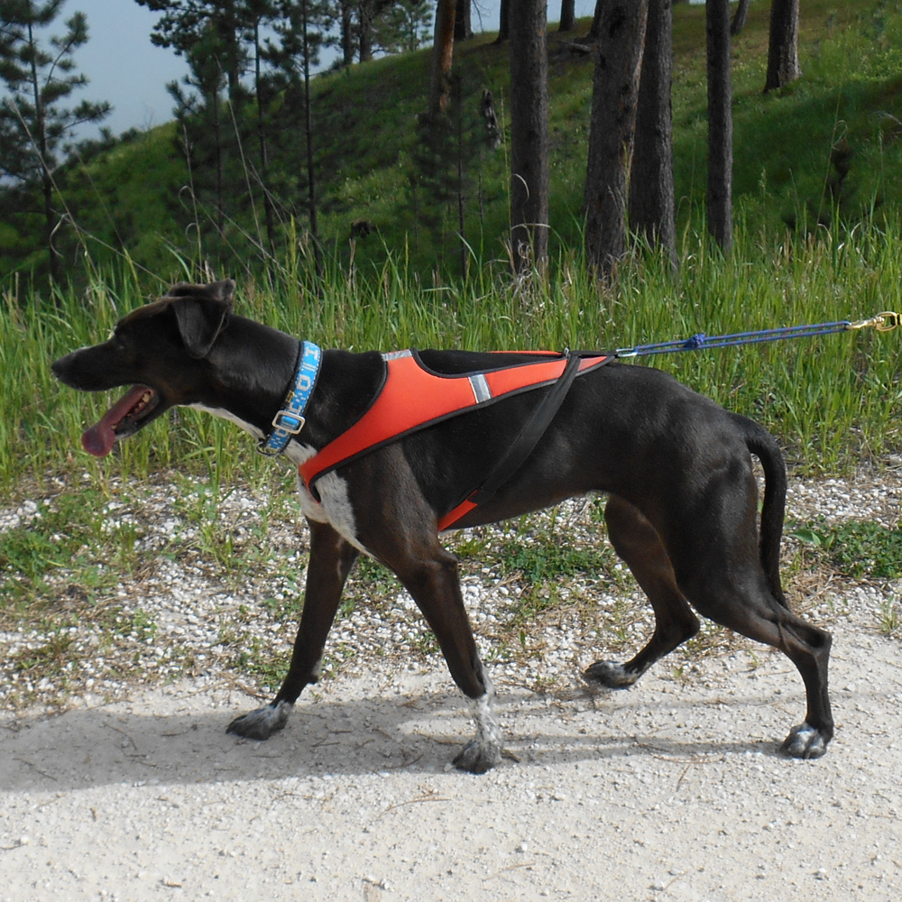 Tough Skin™ Harness