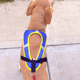 Tough Skin™ Harness - Howling Dog Alaska