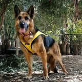 Tough Skin™ Harness ULTRA