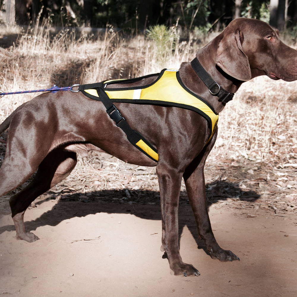 Tough Skin™ Harness ULTRA - Howling Dog Alaska