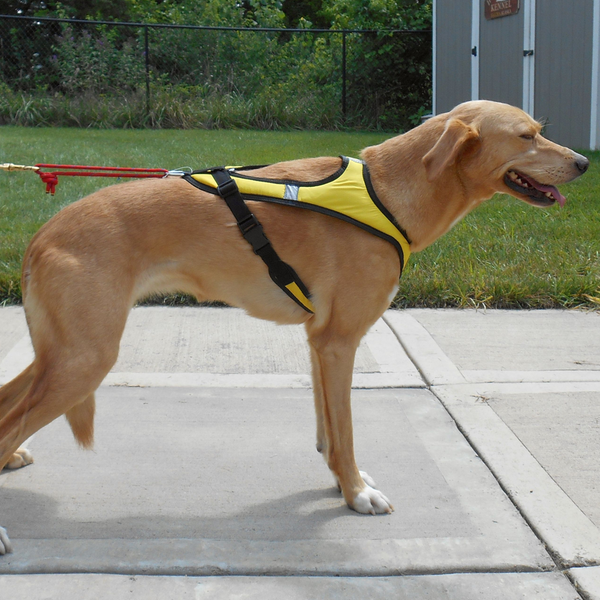 Tough Skin™ Harness ULTRA - Howling Dog Alaska