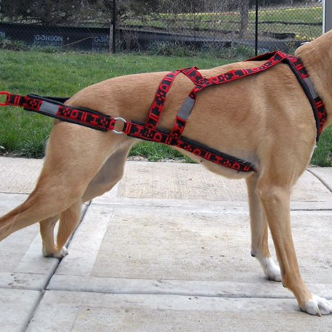 Wheel Dog Harness