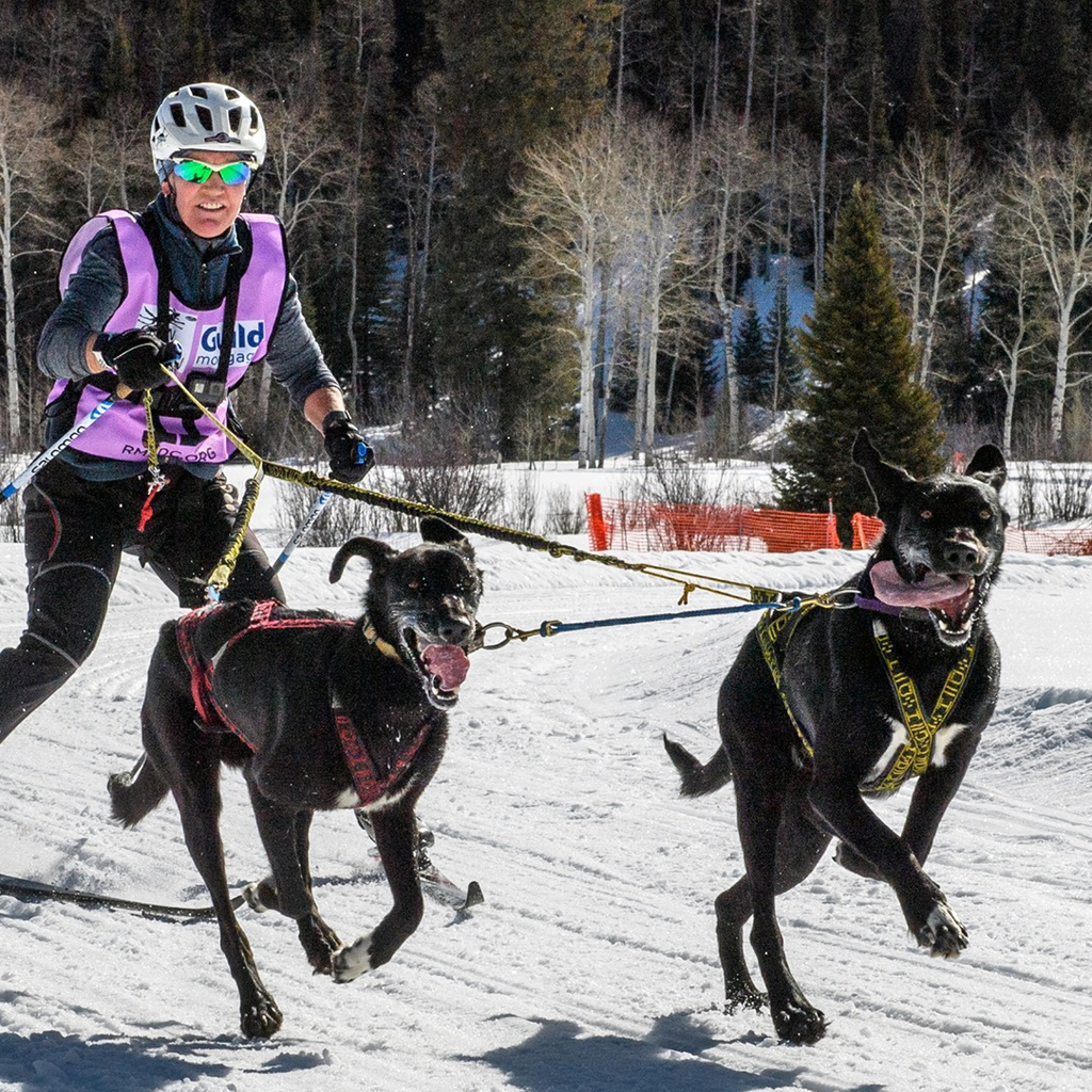 Skijoring Line (two dogs) - Howling Dog Alaska
