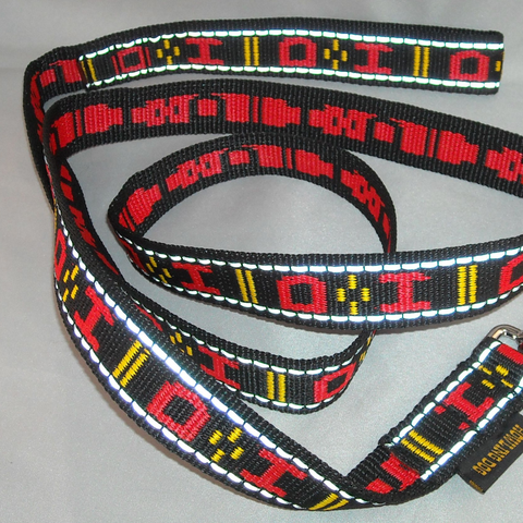 Leash with Padded Handle