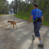 Trekking Belt - Howling Dog Alaska
