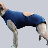 Hybrid Running Jacket - Howling Dog Alaska