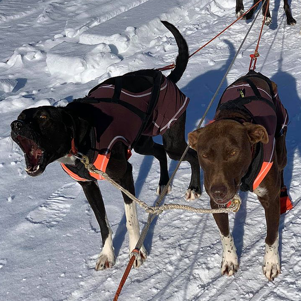 Hybrid 2025 running jacket