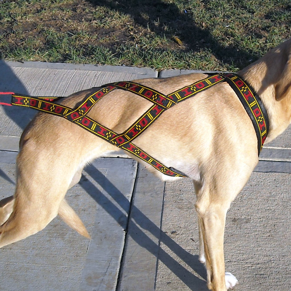 Standard Harness - Howling Dog Alaska